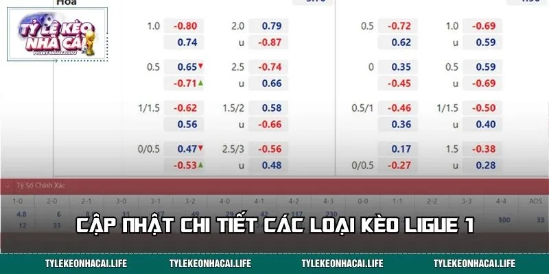 Cập nhật chi tiết các loại kèo Ligue 1