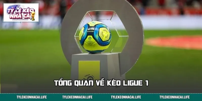 Tổng quan về kèo Ligue 1